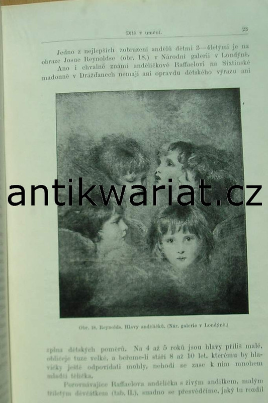 1wa Image00513