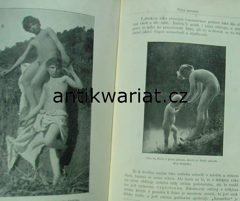 1wa Image00498