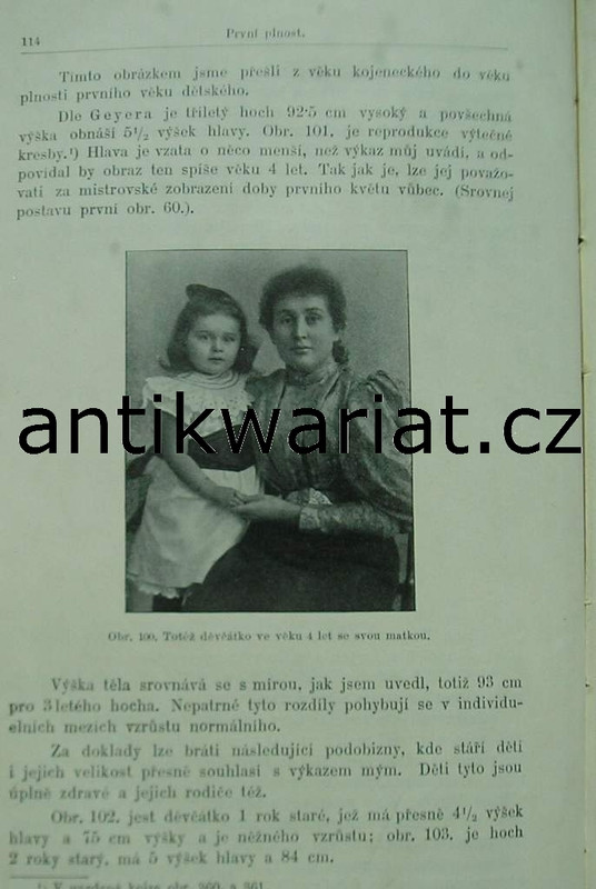 1wa Image00487