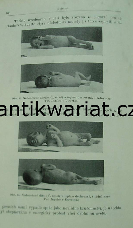 1wa Image00489