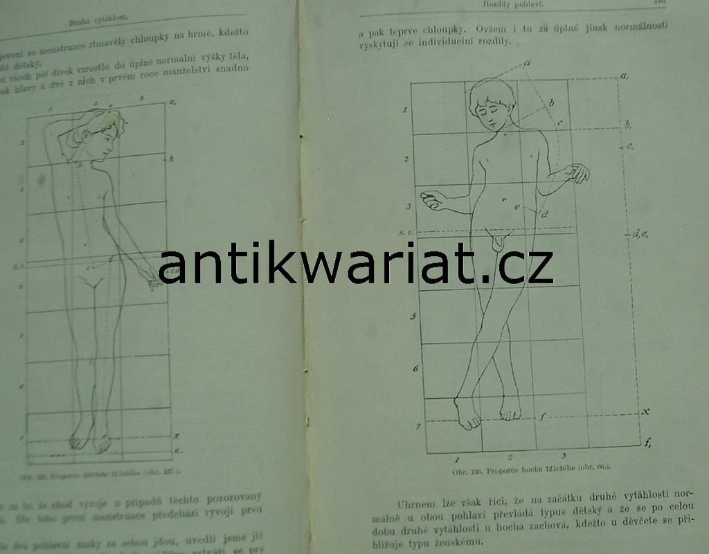 1wa Image00481