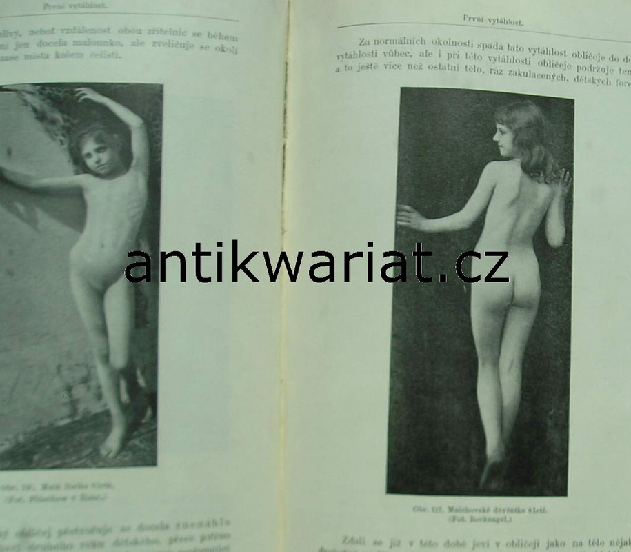 1wa Image00482