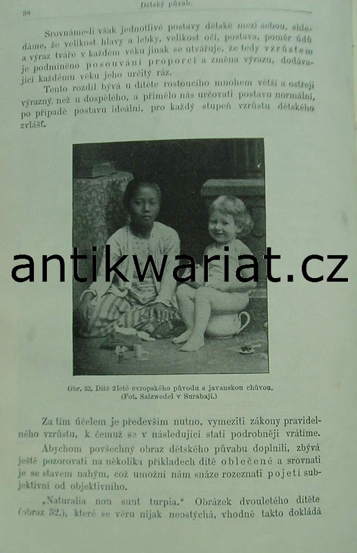 1wa Image00506