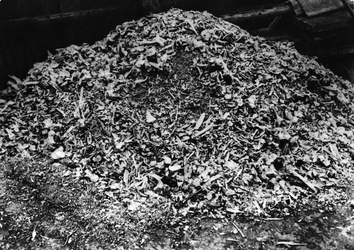 Restos de huesos en el campo de Concentración de Buchenwald