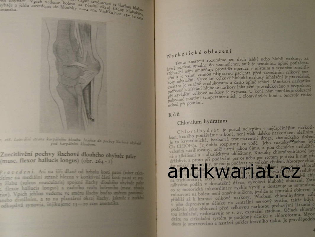 1wa Image00014
