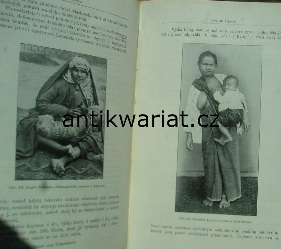 1wa Image00517