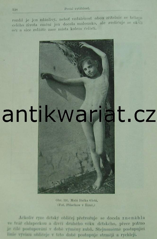 1wa Image00483