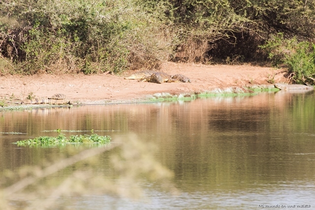 Kruger National Park: Lower Sabie - SUDÁFRICA EN EL CORAZÓN (JULIO 2015) (20)