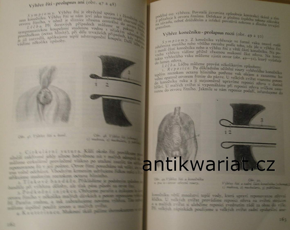 1wa Image00039