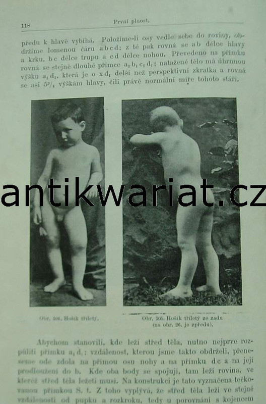 1wa Image00486