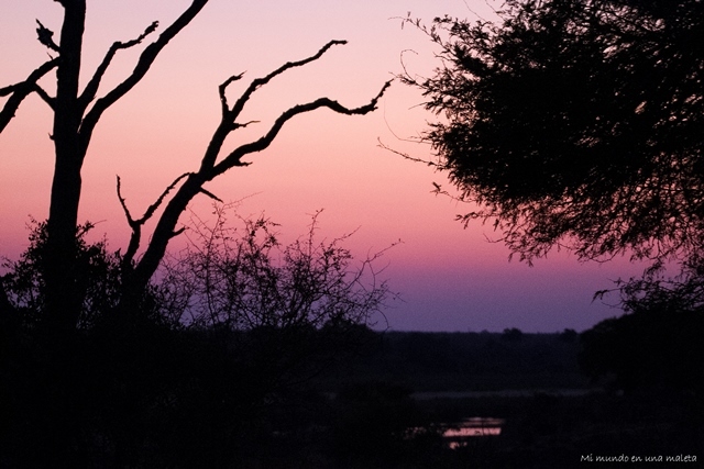 Kruger National Park: Lower Sabie - SUDÁFRICA EN EL CORAZÓN (JULIO 2015) (1)