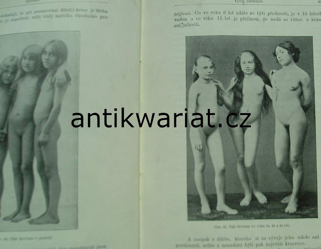 1wa Image00490