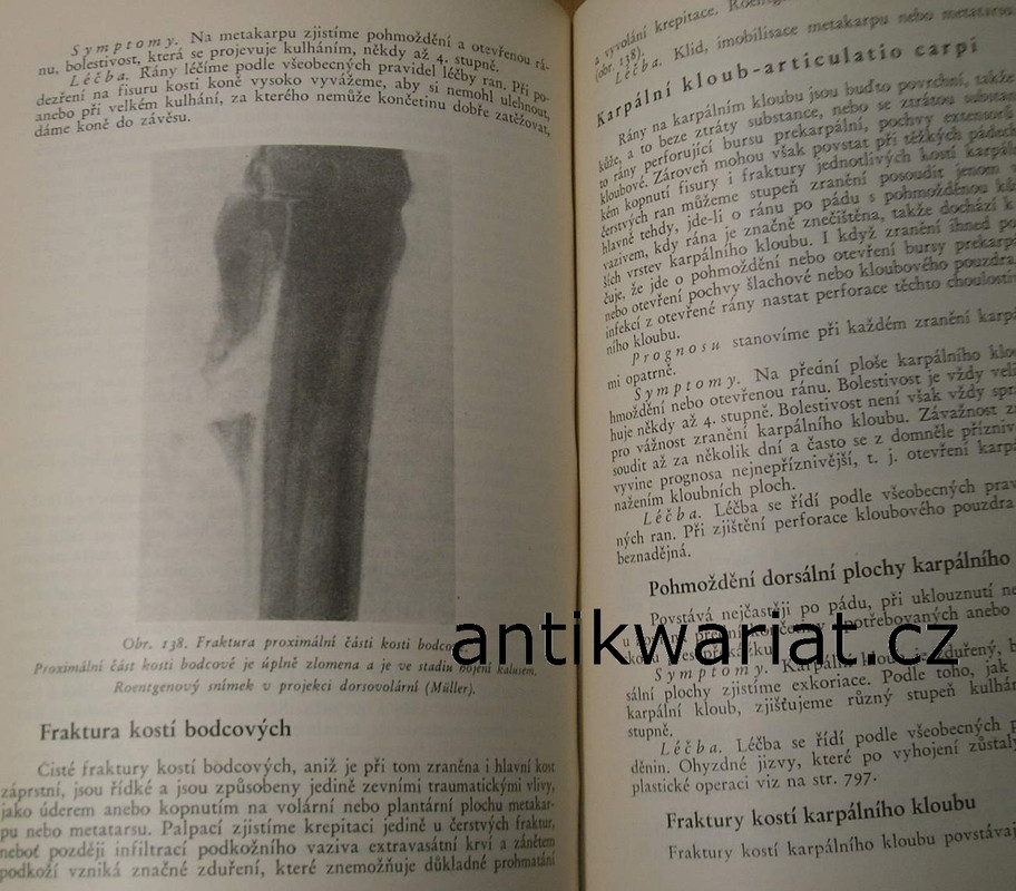 1wa Image00033