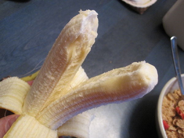 [Image: double_banana.jpg]