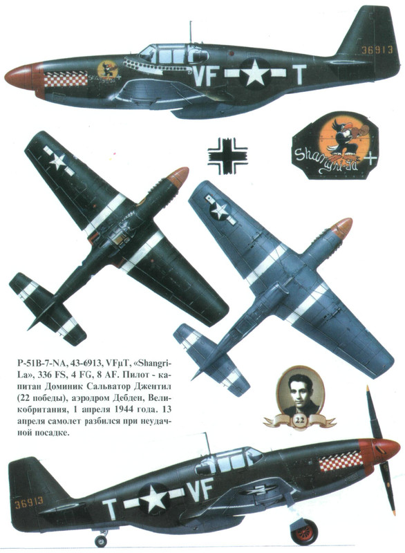 Perfil del Mustang P-51