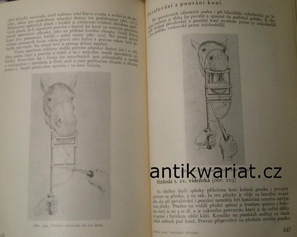1wa Image00027