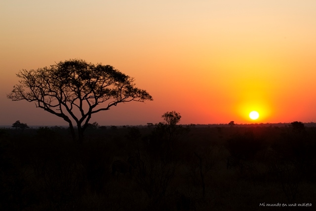 Kruger National Park: Lower Sabie - SUDÁFRICA EN EL CORAZÓN (JULIO 2015) (21)