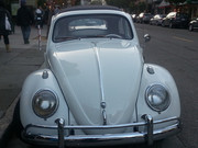 beetle2.jpg