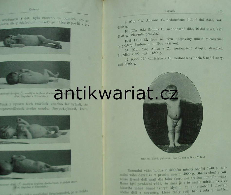 1wa Image00488