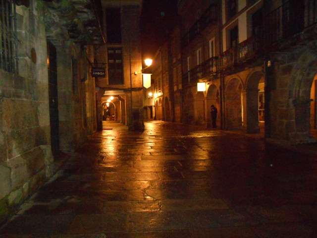 Viaje a Galicia - Blogs de España - DÍA 1: LLEGADA A SANTIAGO (2)
