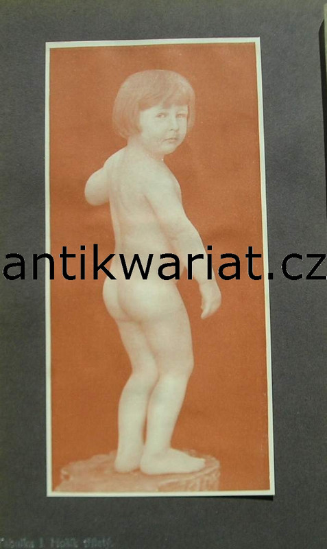 1wa Image00474