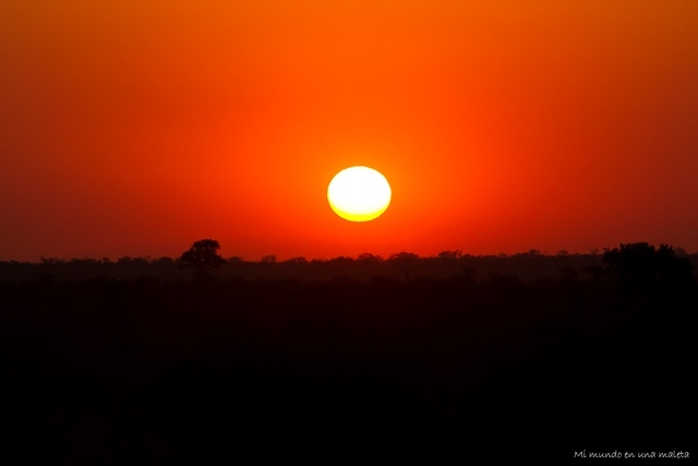 Kruger National Park: Lower Sabie - SUDÁFRICA EN EL CORAZÓN (JULIO 2015) (22)