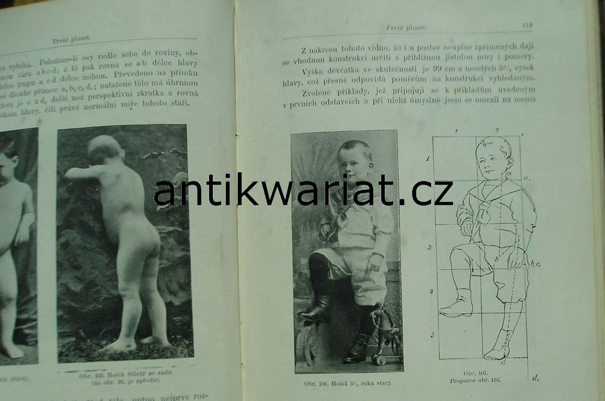1wa Image00485