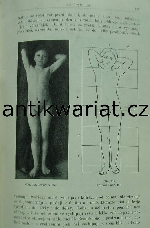 1wa Image00484