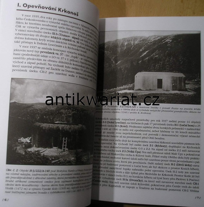 1wa Image00623