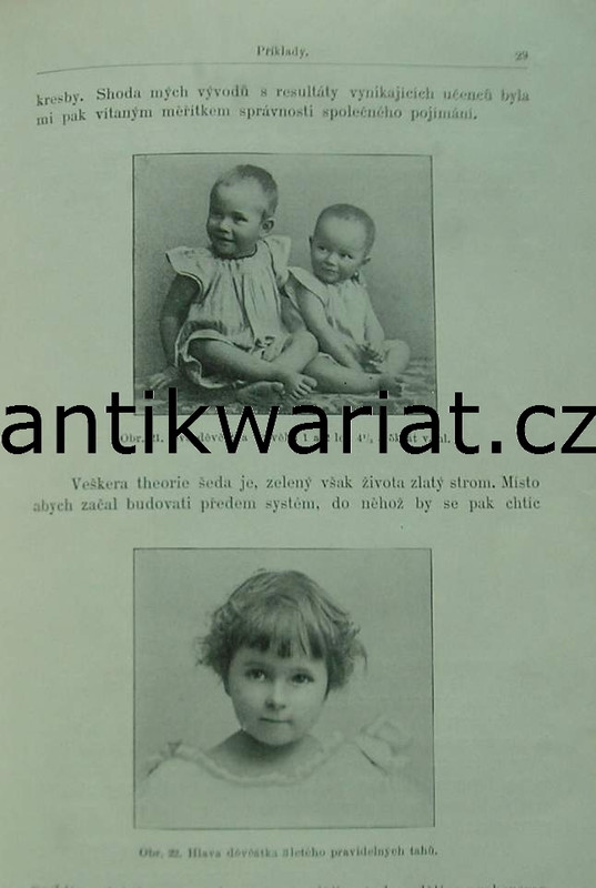 1wa Image00512