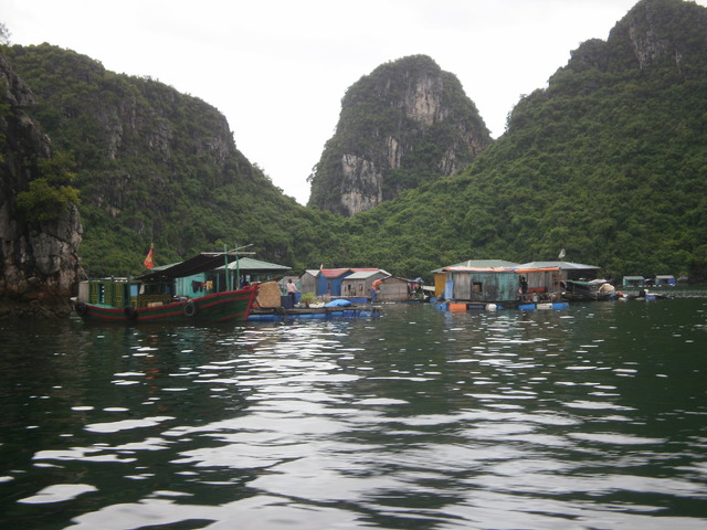 Vietnam y Angkor: 25 días a nuestro aire (Actualizado con fotos!!!) - Blogs de Vietnam - Etapa 3: Bahía de Halong (7)