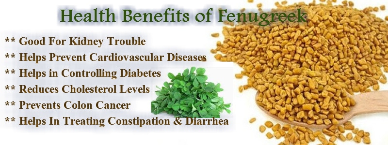 Health_benefits_of_fenugreek_800x300.jpg