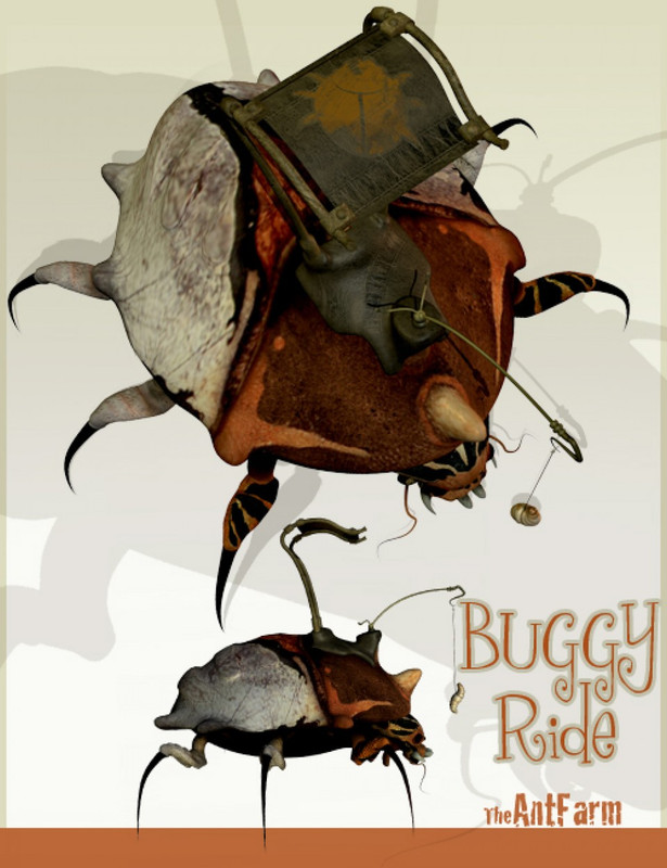 Buggy Ride
