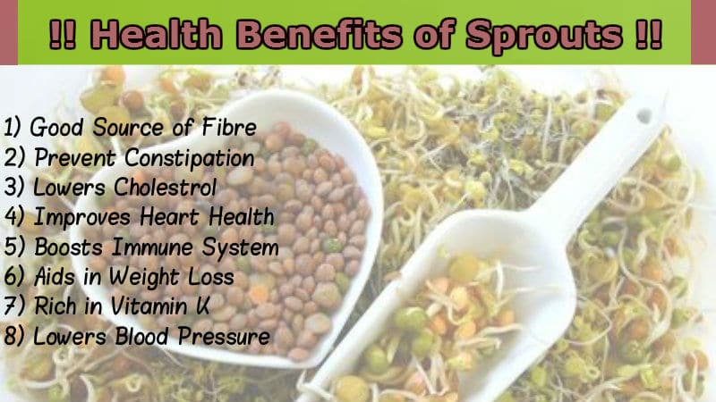 Health_Benefits_of_Sprouts.jpg