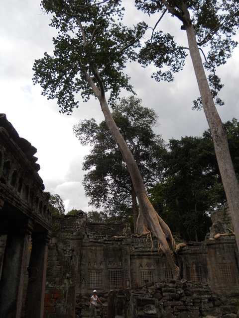 Vietnam y Angkor: 25 días a nuestro aire (Actualizado con fotos!!!) - Blogs de Vietnam - Etapa 7: Siem Reap + Templos de Angkor. (32)