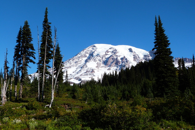 Día 22: Mount Rainier NP - Las maravillas del Noroeste de los Estados Unidos (1)