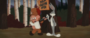 Looney Tunes: Back in Action (2003) .avi DVDRip XviD AC3 ITA