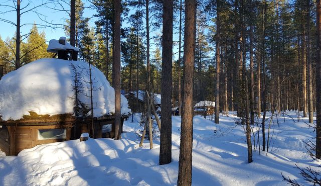 Un cuento de invierno: 10 días en Helsinki, Tallín y Laponia, marzo 2017 - Blogs de Finlandia - Levi, paisajes para una postal (22)